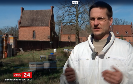 Christian Grune von der Imkerei Grune / Honigtreu erläutert am Standort in Berlin Friedrichshagen die Arbeiten an den Bienen