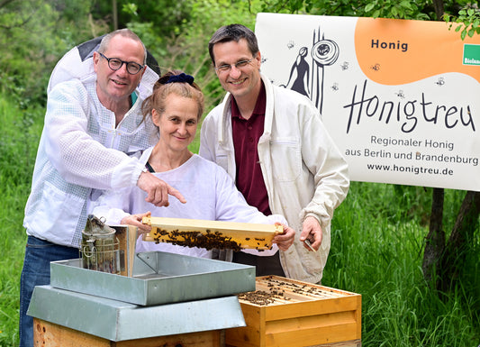 Das Gründungsteam von Honigtreu: Dr. Jörg Weigelt, Gesine Conrad und Christian Grune